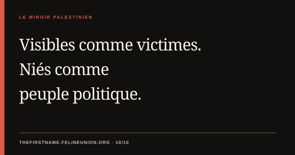 Visibles comme victimes. Niés comme peuple politique.