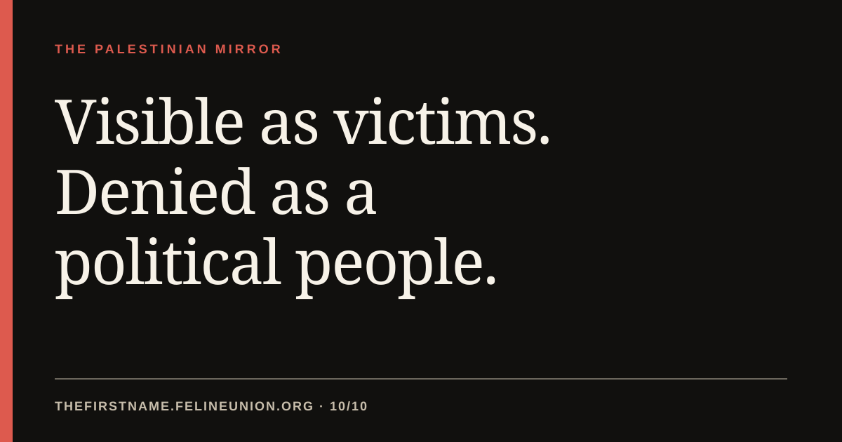 Visible as victims. Denied as a political people.